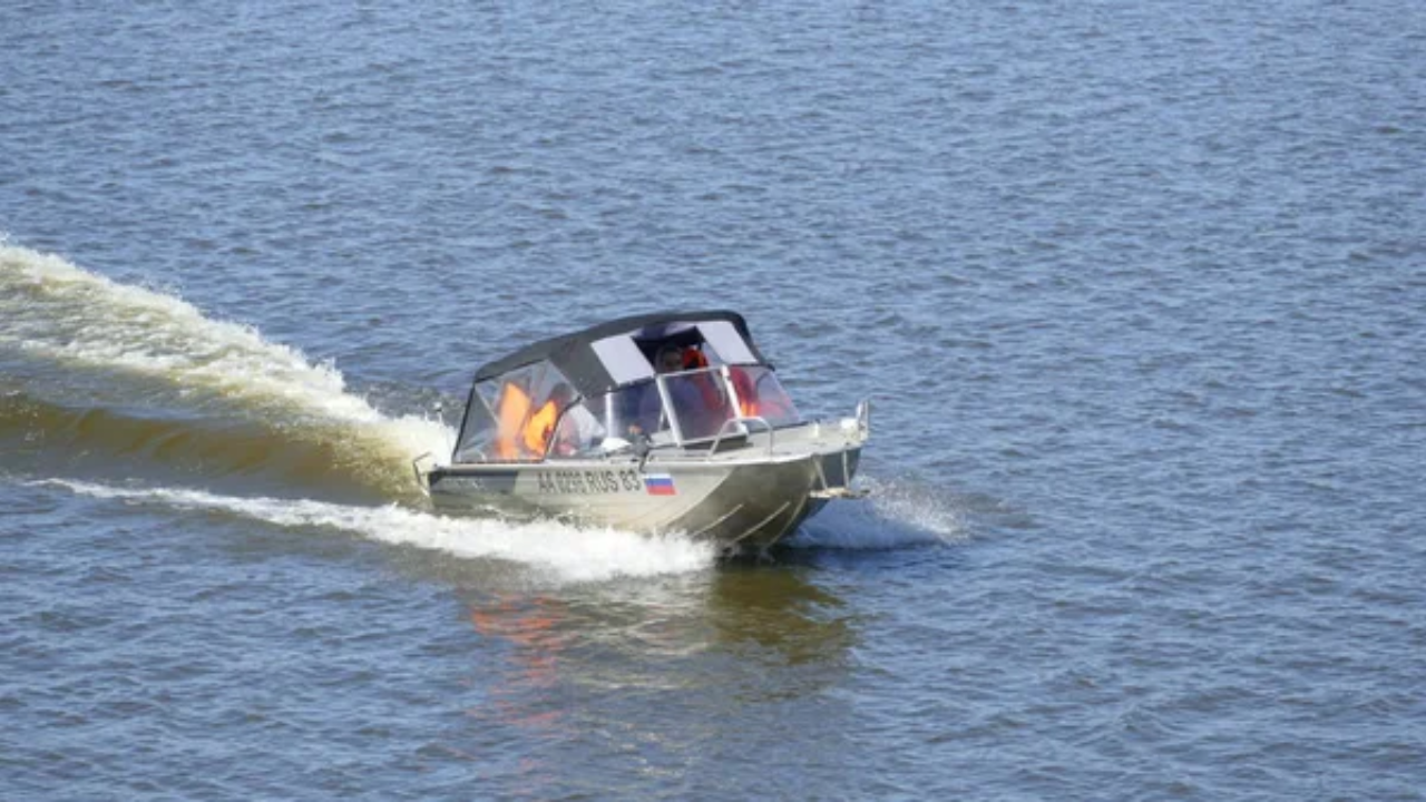 diehard boat motor 48858615